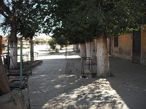 BEDEAU RAS EL MA AOUT 2009 (29)